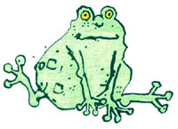 frosch